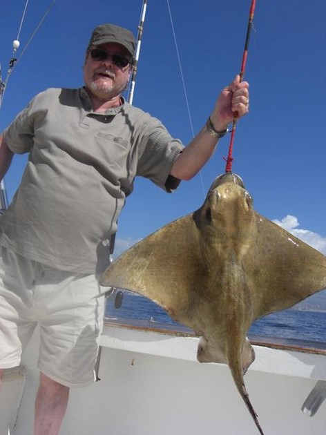 eagle ray Cavalier & Blue Marlin Sport Fishing Gran Canaria