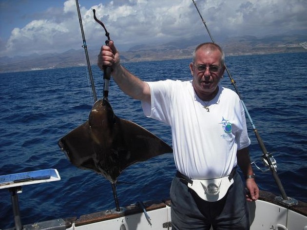 eagle ray Cavalier & Blue Marlin Sport Fishing Gran Canaria