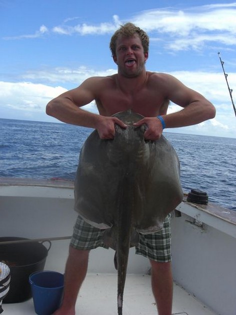 common stingray Cavalier & Blue Marlin Sport Fishing Gran Canaria