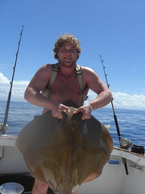 common stingray Cavalier & Blue Marlin Sport Fishing Gran Canaria