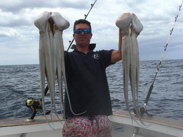 MARLIN eller TUNA? Blue Marlin 3 gick i morse - Cavalier & Blue Marlin Sport Fishing Gran Canaria