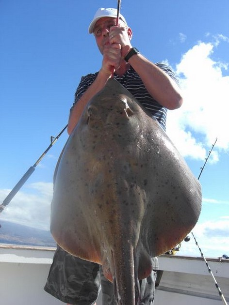 01/04 roughtail stingray Cavalier & Blue Marlin Sport Fishing Gran Canaria