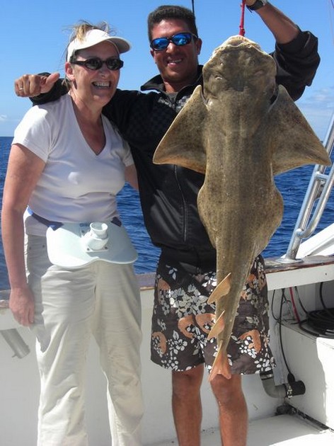 02/04 angelshark Cavalier & Blue Marlin Sport Fishing Gran Canaria