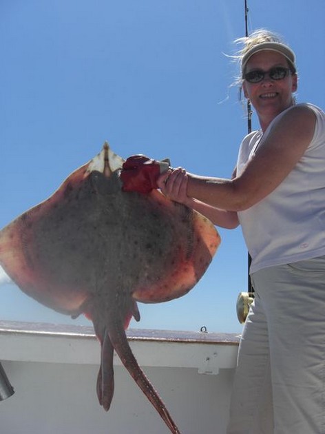 bottle nosed skate Cavalier & Blue Marlin Sport Fishing Gran Canaria