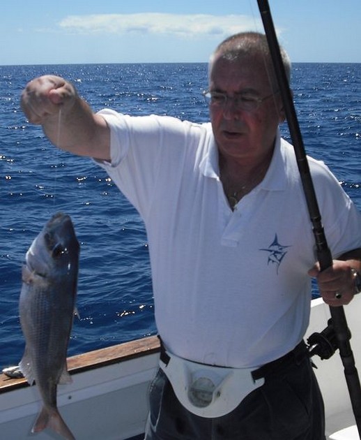 red snapper Cavalier & Blue Marlin Sport Fishing Gran Canaria