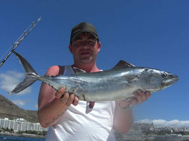 Atlantic bonito Cavalier & Blue Marlin Sport Fishing Gran Canaria