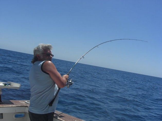ANGELSHARK Kunderna på båda båtarna hade två mycket - Cavalier & Blue Marlin Sport Fishing Gran Canaria
