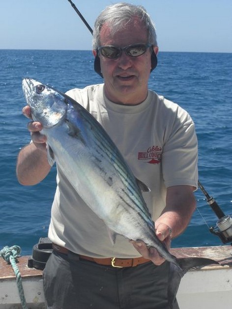 atlantic bonito Cavalier & Blue Marlin Sport Fishing Gran Canaria
