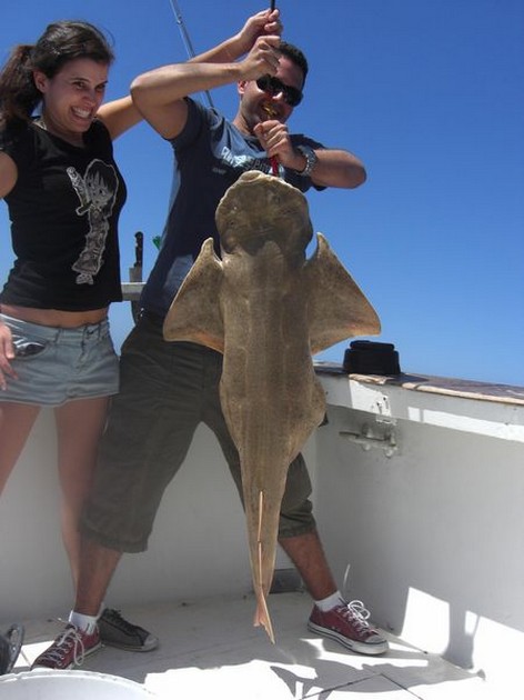 04/04 angelshark Cavalier & Blue Marlin Sport Fishing Gran Canaria