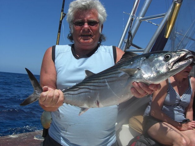 atlantic bonito Cavalier & Blue Marlin Sport Fishing Gran Canaria