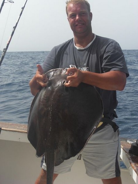 roughtail stingray Cavalier & Blue Marlin Sport Fishing Gran Canaria