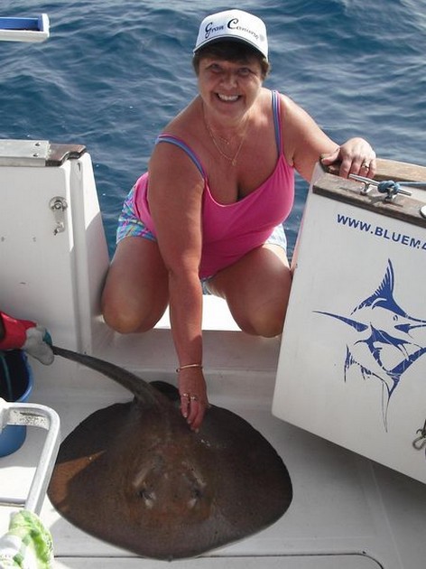 round stingray Cavalier & Blue Marlin Sport Fishing Gran Canaria