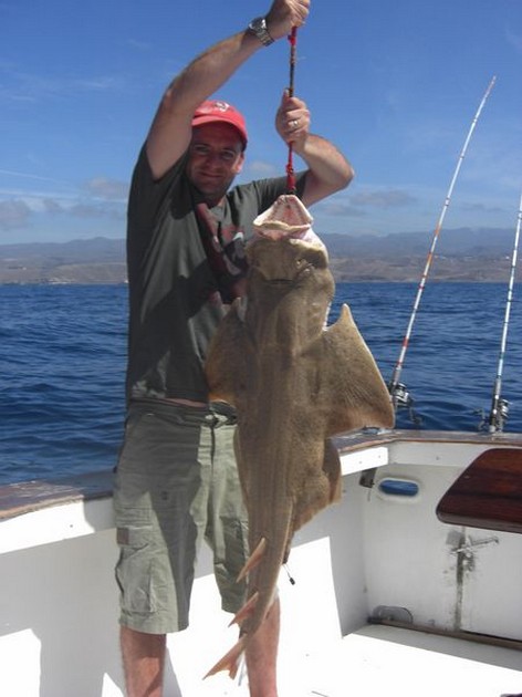 angelshark Cavalier & Blue Marlin Sport Fishing Gran Canaria