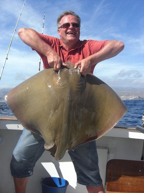 common stingray Cavalier & Blue Marlin Sport Fishing Gran Canaria