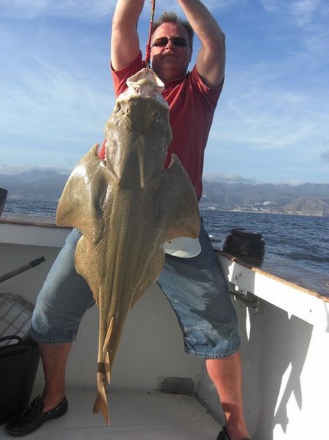 angelshark Cavalier & Blue Marlin Sport Fishing Gran Canaria