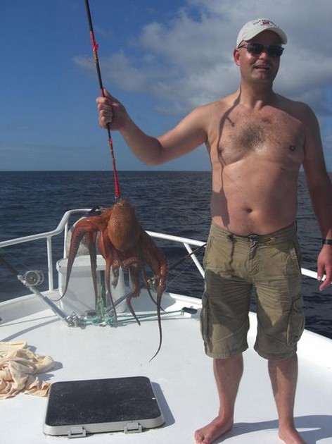 octopus Cavalier & Blue Marlin Sport Fishing Gran Canaria