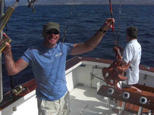 Octopus Cavalier & Blue Marlin Sport Fishing Gran Canaria