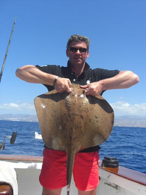 roughtail stingray Cavalier & Blue Marlin Sport Fishing Gran Canaria