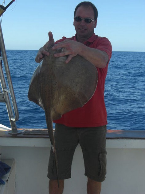 roughtail stingray Cavalier & Blue Marlin Sport Fishing Gran Canaria