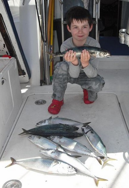 Mackerels Cavalier & Blue Marlin Sport Fishing Gran Canaria