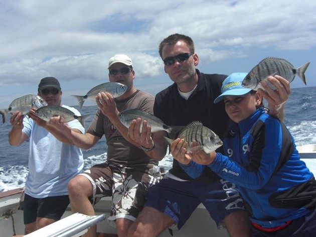 seabreams Cavalier & Blue Marlin Sport Fishing Gran Canaria