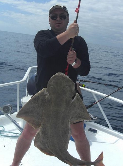 18/04 angelshark Cavalier & Blue Marlin Sport Fishing Gran Canaria
