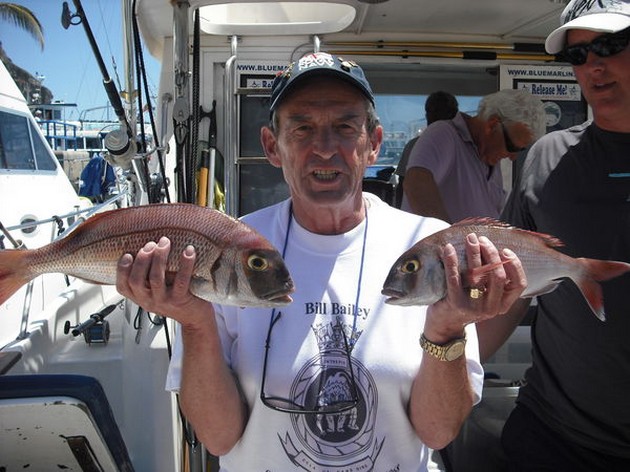 FLODFISKA Blue Marlin 3 fiskade idag på en - Cavalier & Blue Marlin Sport Fishing Gran Canaria