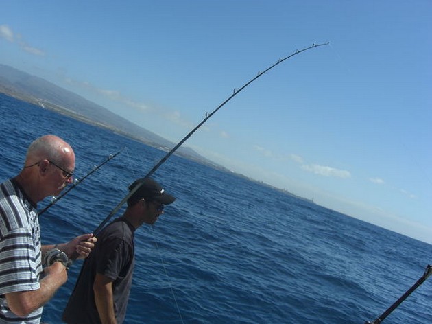 ENGELHAAIEN<br><br>Er werden vandaag op de Cavalier maar - Cavalier & Blue Marlin Sport Fishing Gran Canaria