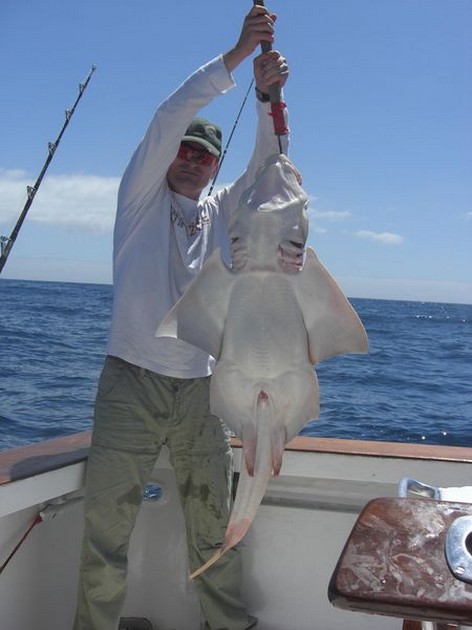 angelshark Cavalier & Blue Marlin Sport Fishing Gran Canaria