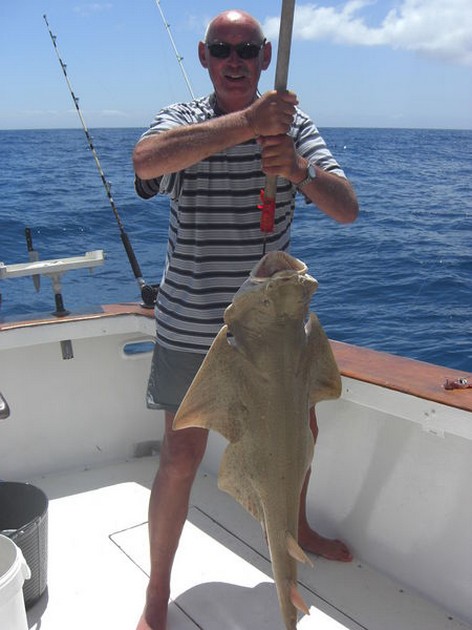 angelshark Cavalier & Blue Marlin Sport Fishing Gran Canaria