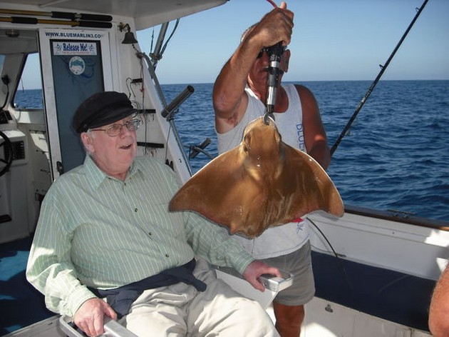 eagle ray Cavalier & Blue Marlin Sport Fishing Gran Canaria