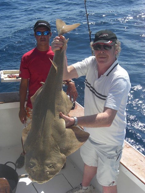 angelshark Cavalier & Blue Marlin Sport Fishing Gran Canaria