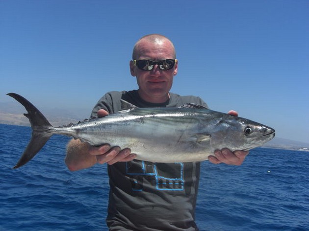 Atlantic bonito Cavalier & Blue Marlin Sport Fishing Gran Canaria