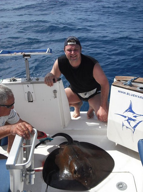 round stingray Cavalier & Blue Marlin Sport Fishing Gran Canaria