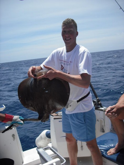 roughtail stingray Cavalier & Blue Marlin Sport Fishing Gran Canaria