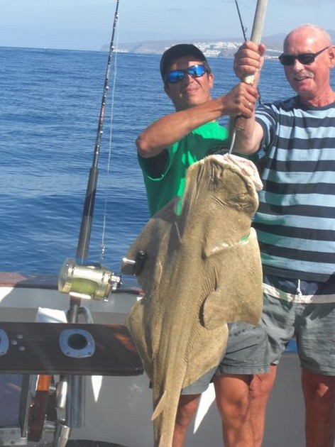 angelshark Cavalier & Blue Marlin Sport Fishing Gran Canaria