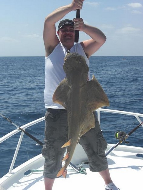 angelshark Cavalier & Blue Marlin Sport Fishing Gran Canaria