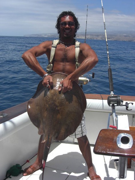 roughtail stingray Cavalier & Blue Marlin Sport Fishing Gran Canaria