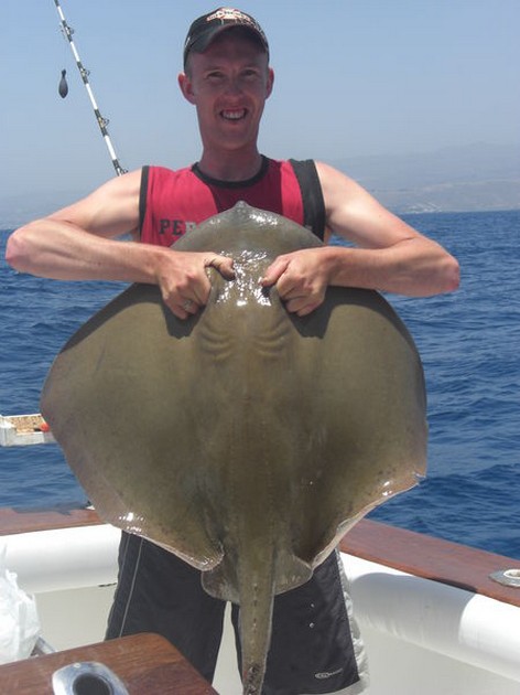 common stingray Cavalier & Blue Marlin Sport Fishing Gran Canaria