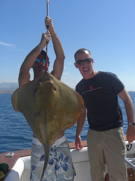 11/05 common stingray Cavalier & Blue Marlin Sport Fishing Gran Canaria