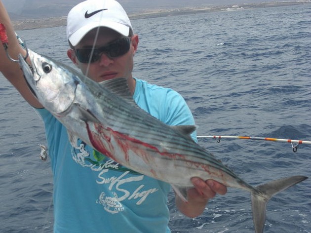 atlantic bonito Cavalier & Blue Marlin Sport Fishing Gran Canaria