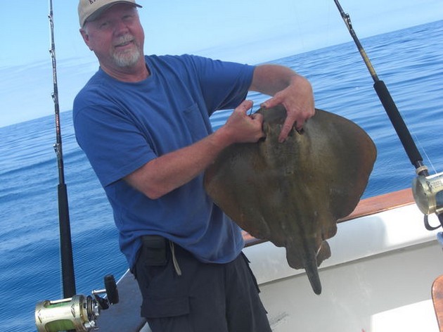 common stingray Cavalier & Blue Marlin Sport Fishing Gran Canaria