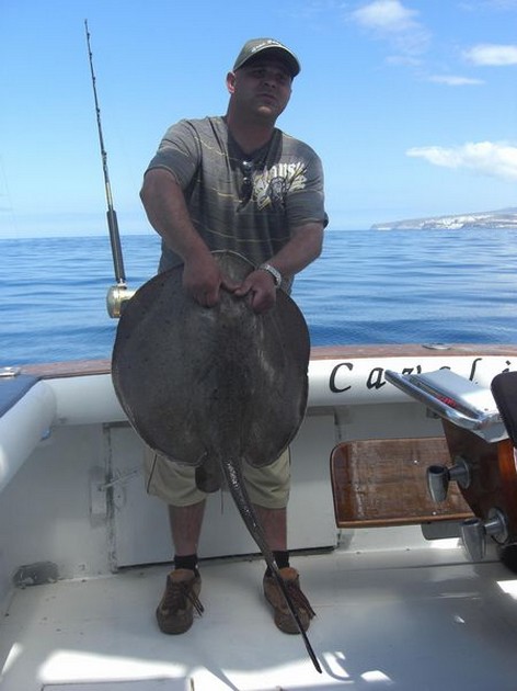 round stingray Cavalier & Blue Marlin Sport Fishing Gran Canaria
