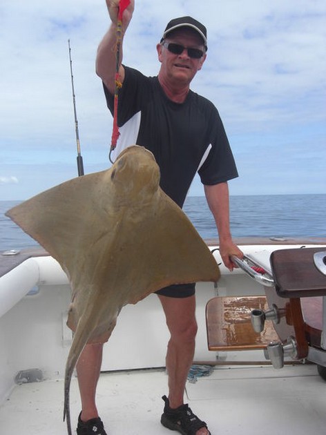 eagle ray Cavalier & Blue Marlin Sport Fishing Gran Canaria