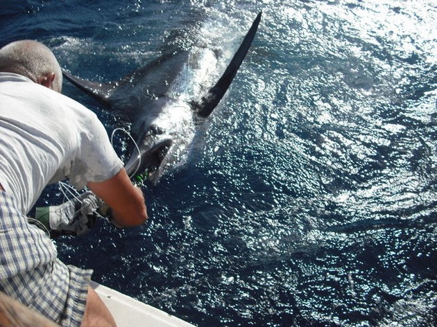 13/05 blue marlin Cavalier & Blue Marlin Sport Fishing Gran Canaria