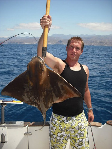 eagle ray Cavalier & Blue Marlin Sport Fishing Gran Canaria