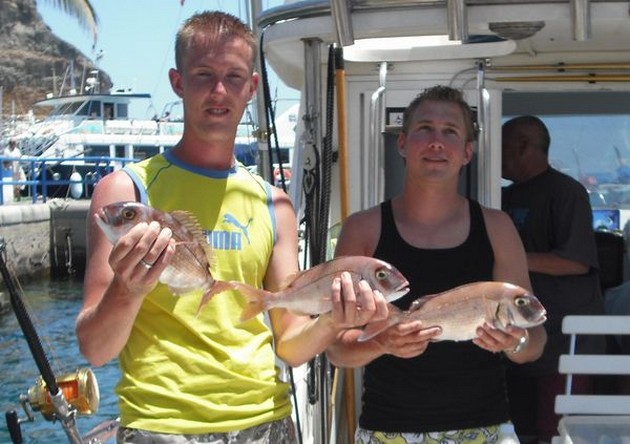 red snappers Cavalier & Blue Marlin Sport Fishing Gran Canaria