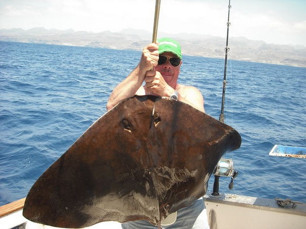 butterfly ray Cavalier & Blue Marlin Sport Fishing Gran Canaria
