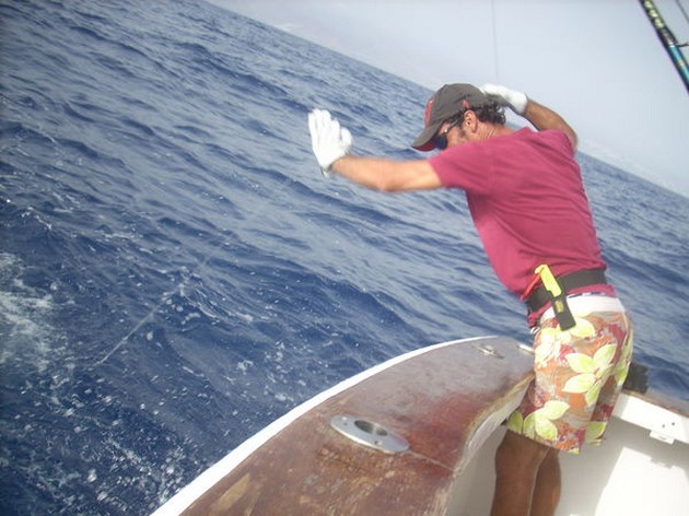 SPEERVIS EN SNAPPERS<br><br>De boot Blue Marlin heeft de - Cavalier & Blue Marlin Sport Fishing Gran Canaria