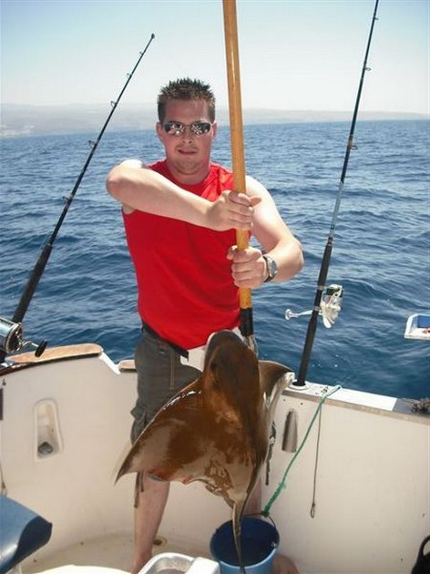 eagle ray Cavalier & Blue Marlin Sport Fishing Gran Canaria